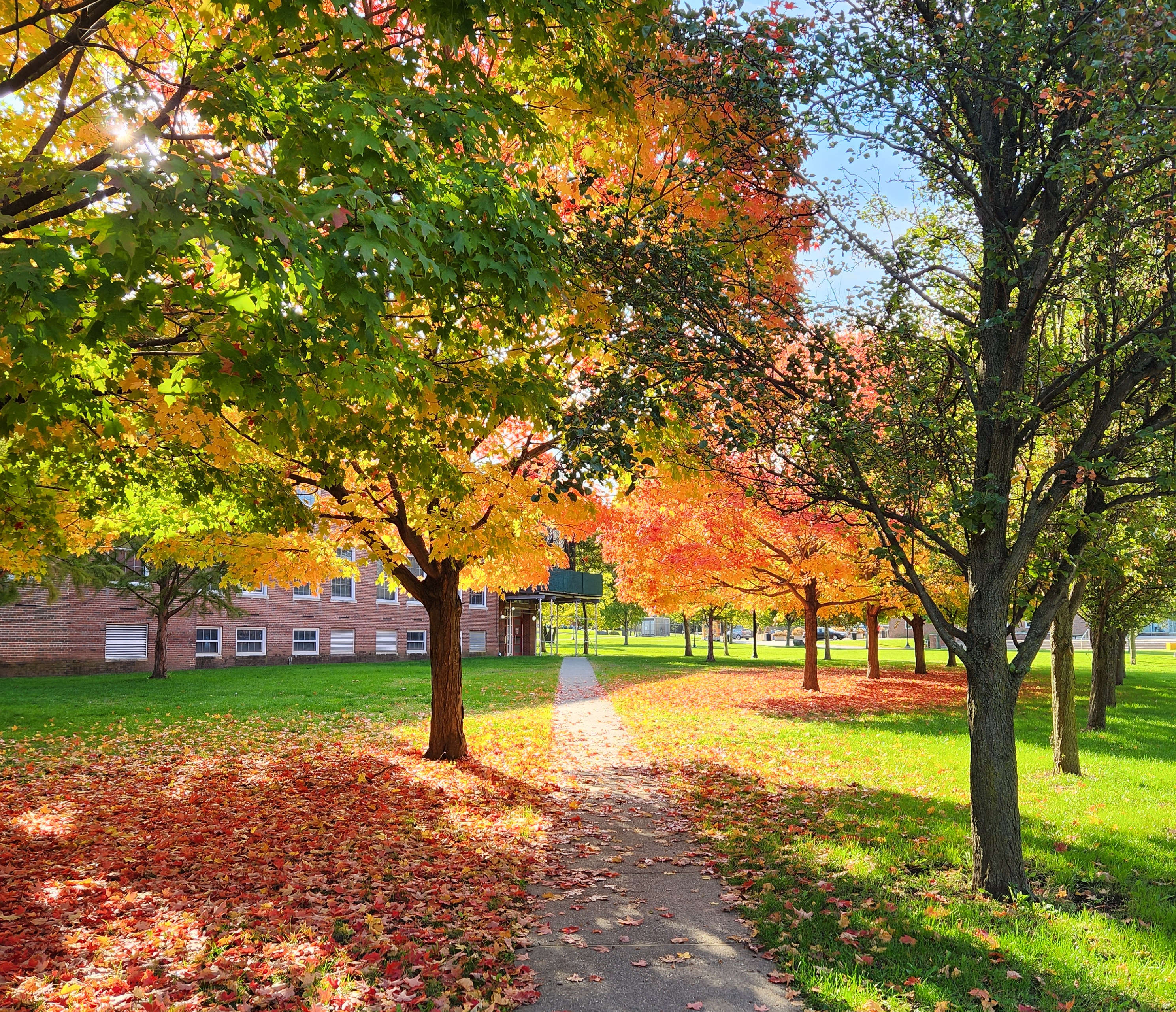 The path to the math department